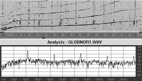 Globicephala Whistle